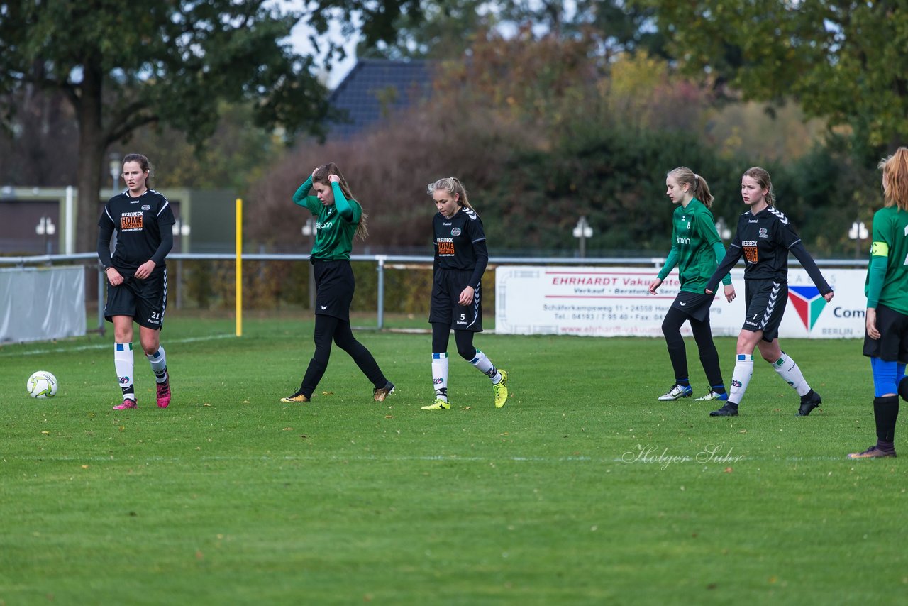 Bild 207 - B-Juniorinnen SV Henstedt Ulzburg - SG ONR : Ergebnis: 14:0